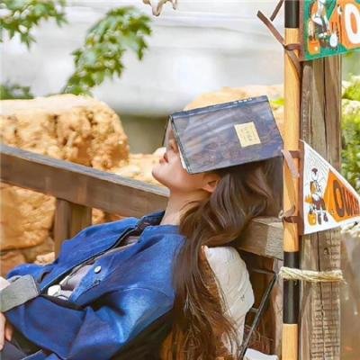 热播·银杏证人海报